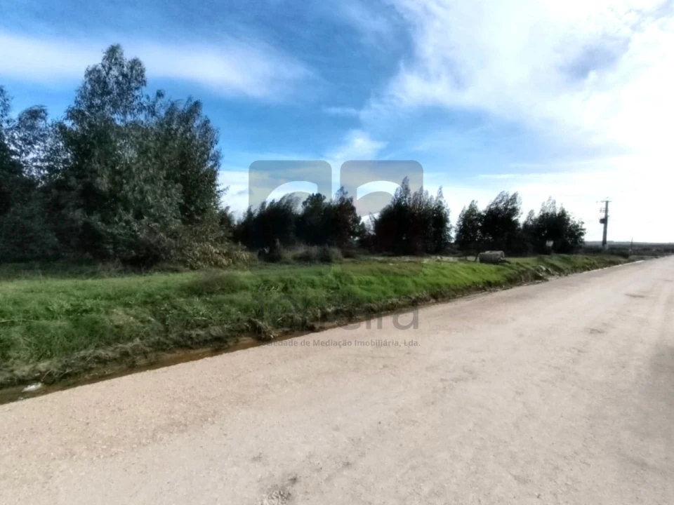 Terreno para Venda em Almeirim Foto 4