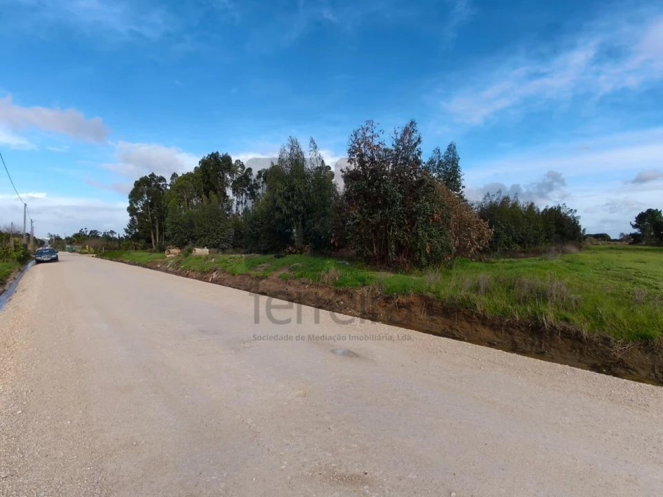 Terreno para Venda em Almeirim Foto 1