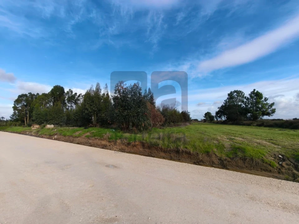 Terreno para Venda em Almeirim Foto 9