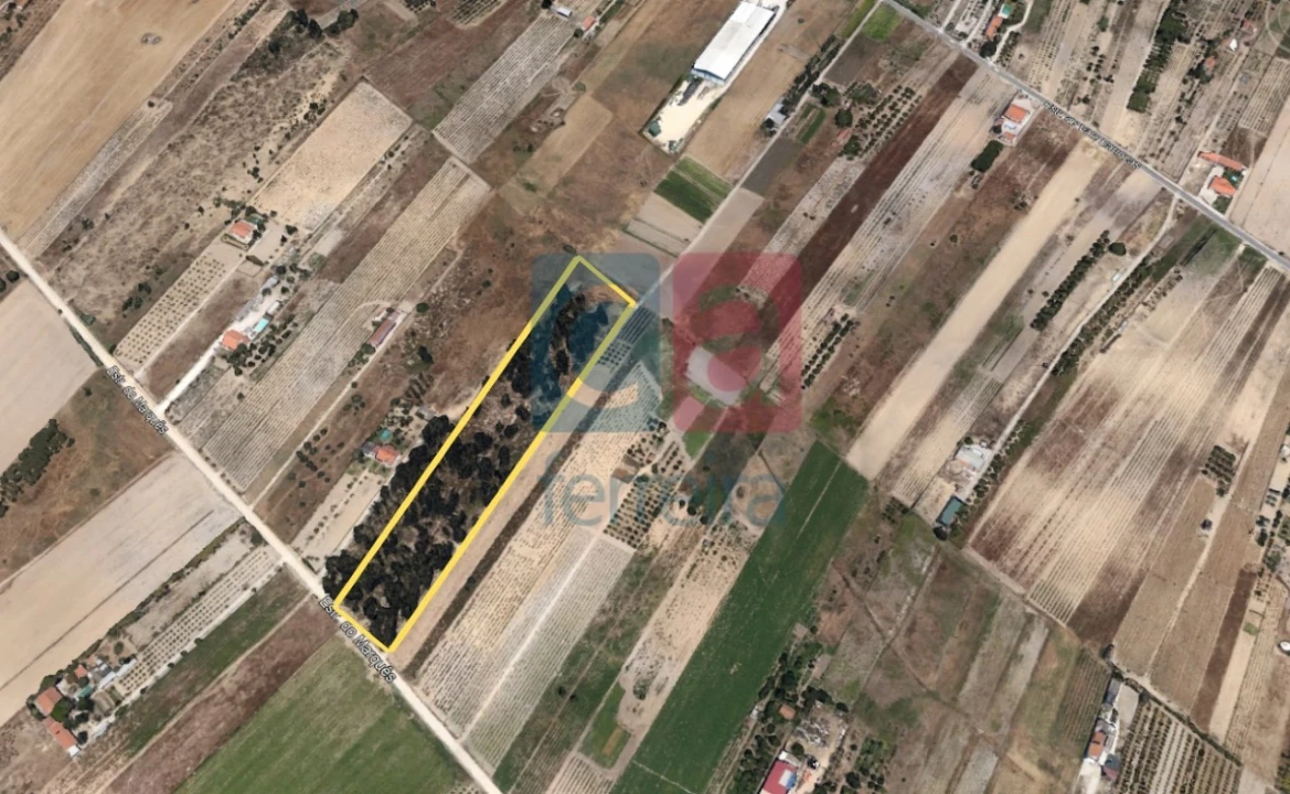 Terreno para Venda em Almeirim Foto 18