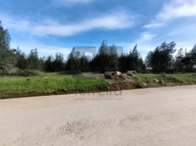 Terreno para Venda em Almeirim Foto 6