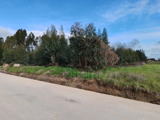 Terreno para Venda em Almeirim Foto 7
