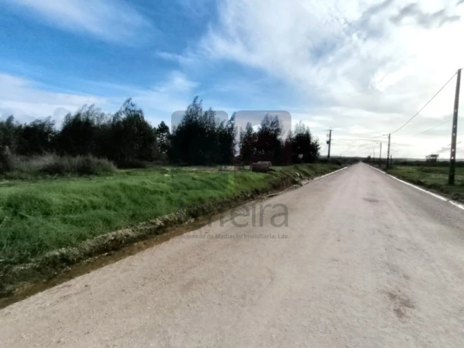 Terreno para Venda em Almeirim Foto 2