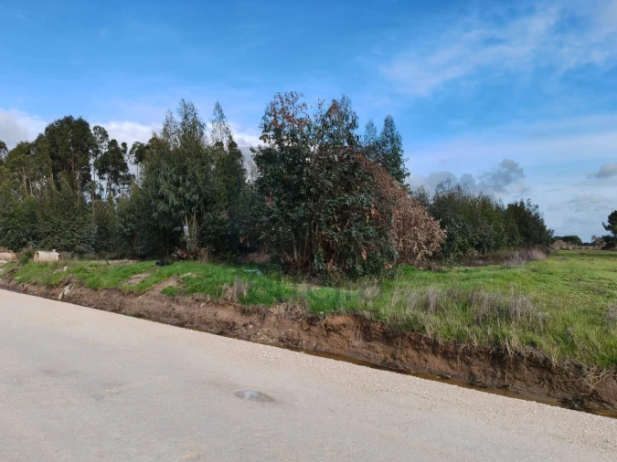 Terreno para Venda em Almeirim Foto 11