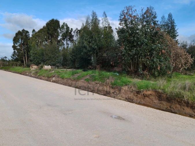 Terreno para Venda em Almeirim Foto 13