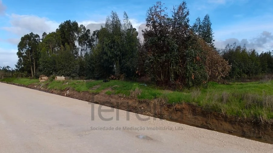 Terreno para Venda em Almeirim