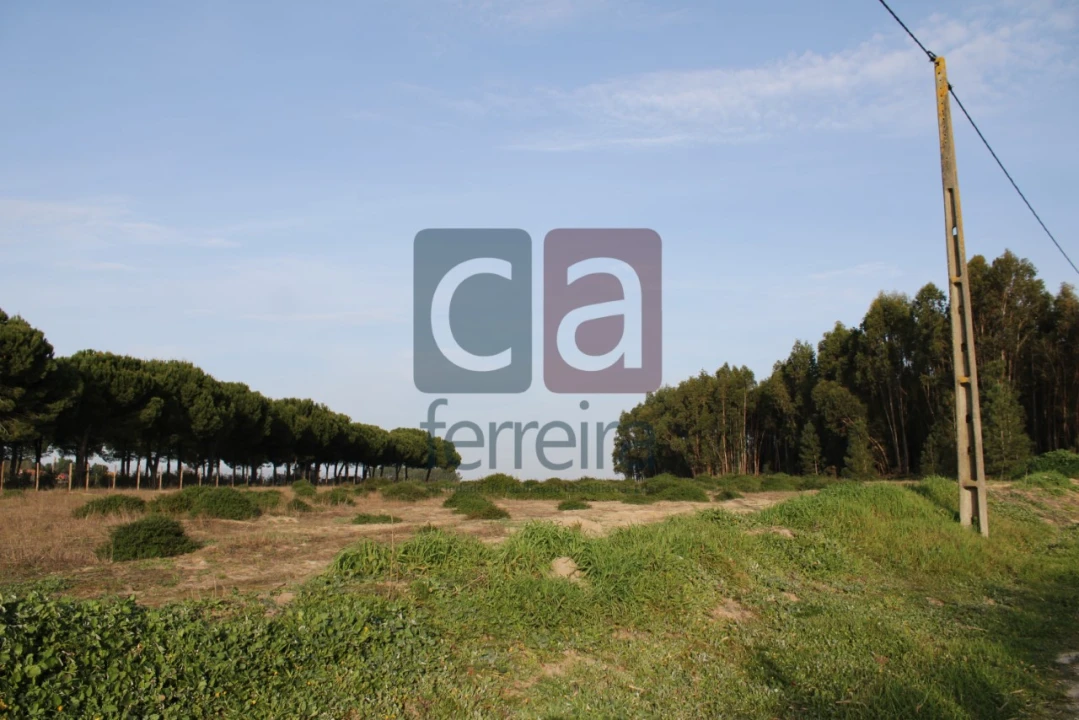 Terreno para Venda em Almeirim Foto 6