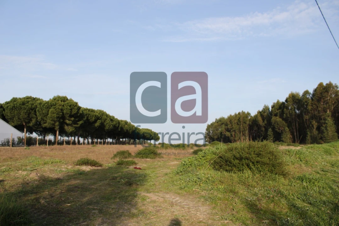 Terreno para Venda em Almeirim Foto 7