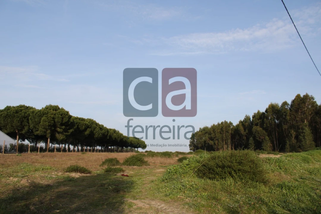 Terreno para Venda em Almeirim Foto 8