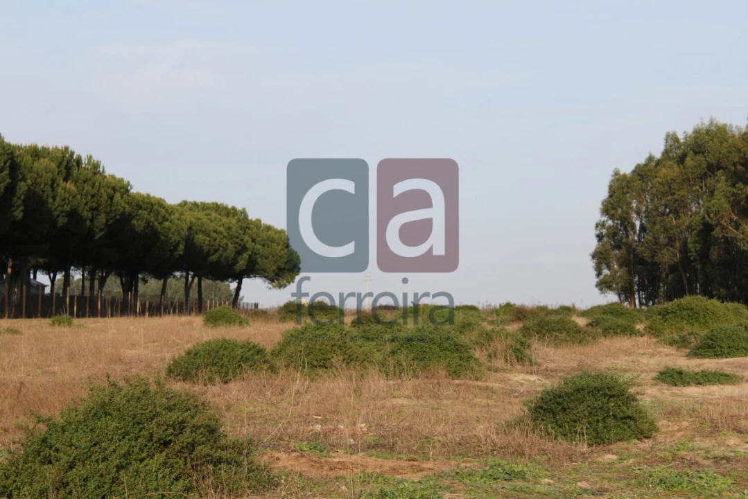 Terreno para Venda em Almeirim Foto 9