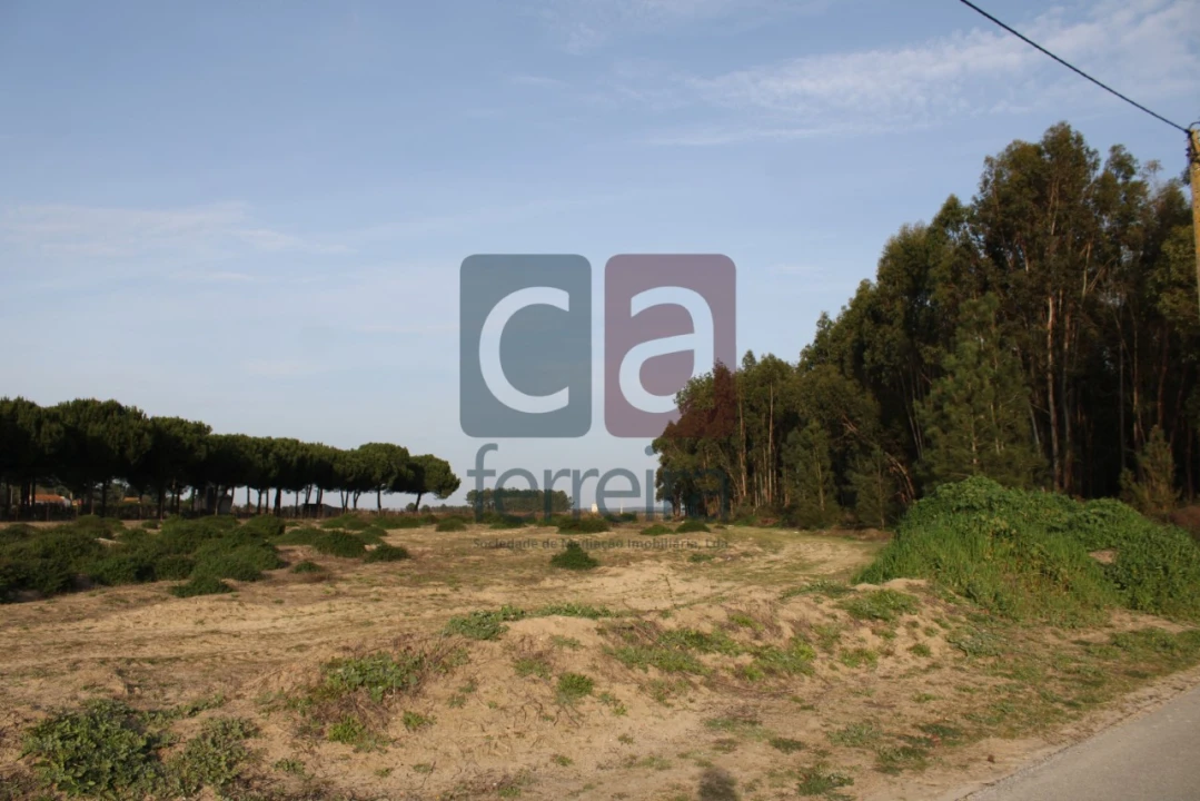 Terreno para Venda em Almeirim Foto 12