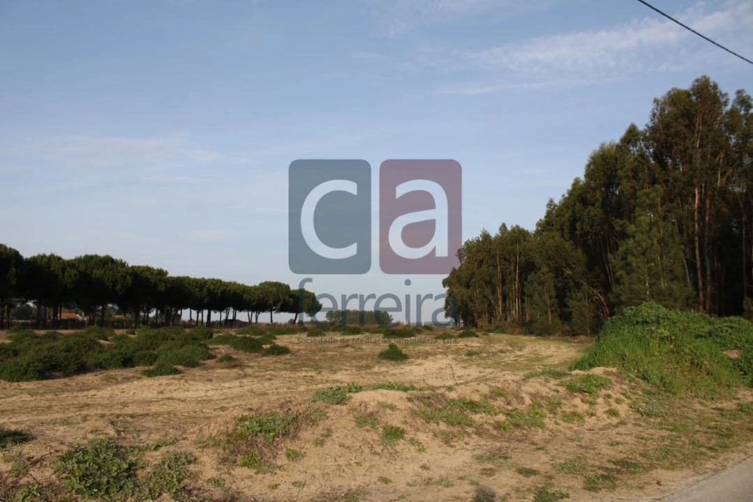 Terreno para Venda em Almeirim Foto 13
