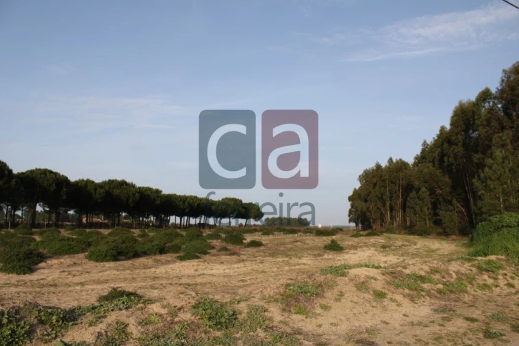 Terreno para Venda em Almeirim Foto 1