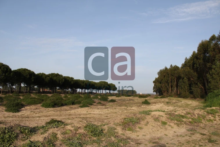 Terreno para Venda em Almeirim Foto 2