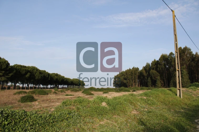 Terreno para Venda em Almeirim Foto 6
