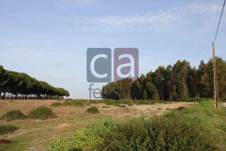 Terreno para Venda em Almeirim Foto 10