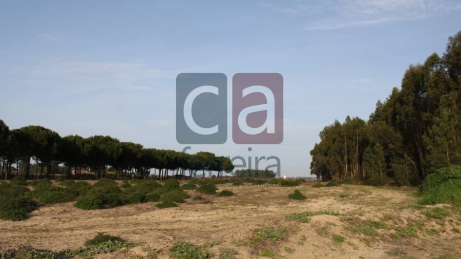 Terreno para Venda em Almeirim