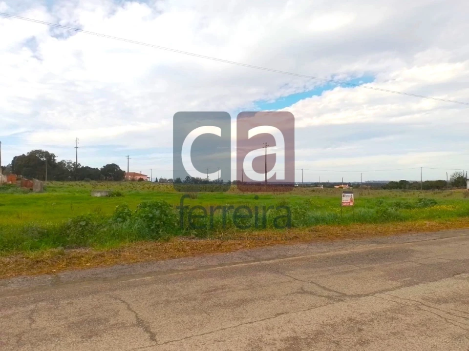 Terreno para Venda em Fazendas de Almeirim Foto 1