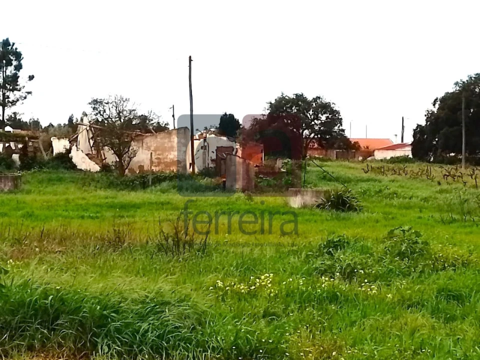 Terreno para Venda em Fazendas de Almeirim Foto 10