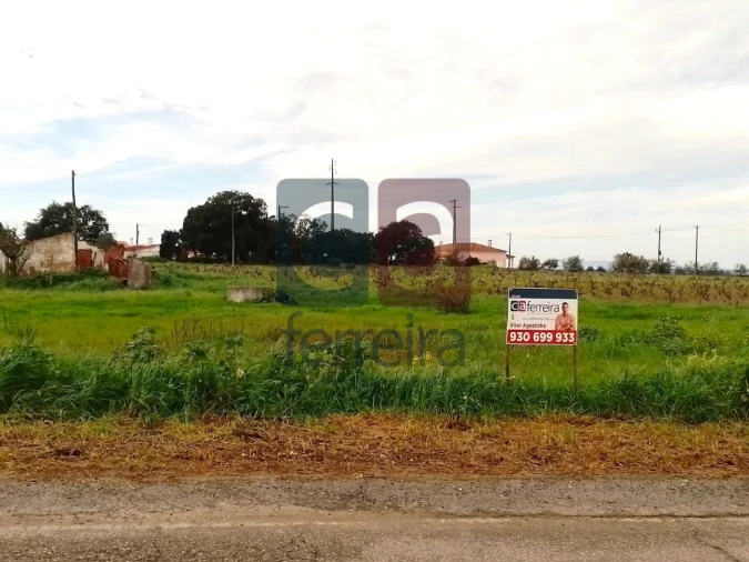 Terreno para Venda em Fazendas de Almeirim Foto 2