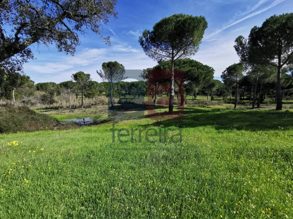 Terreno para Venda em Couço Foto 1