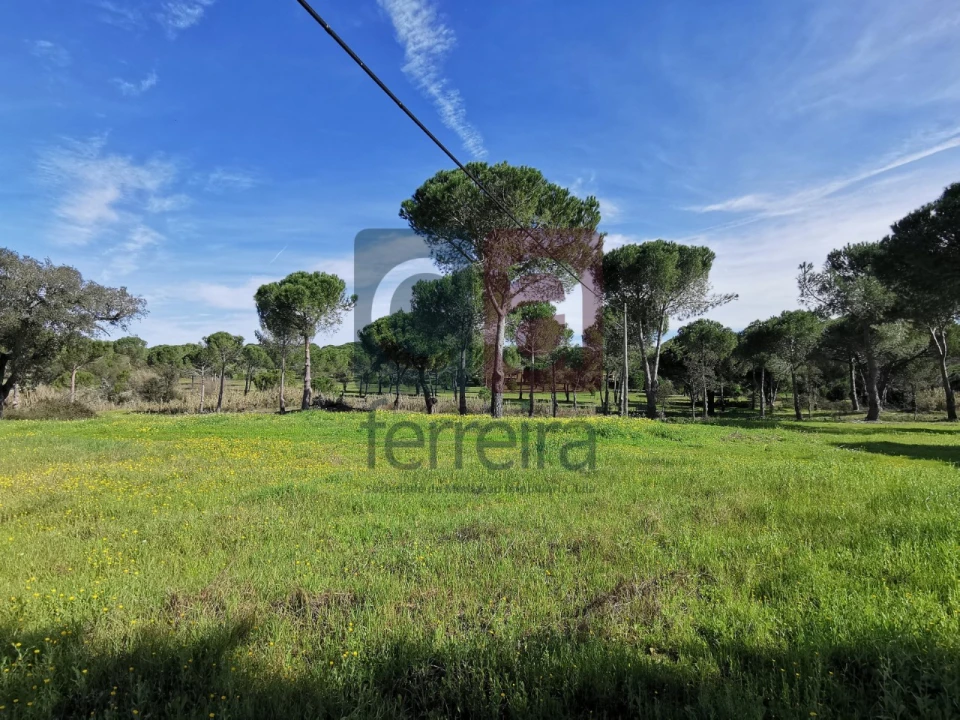 Terreno para Venda em Couço Foto 3