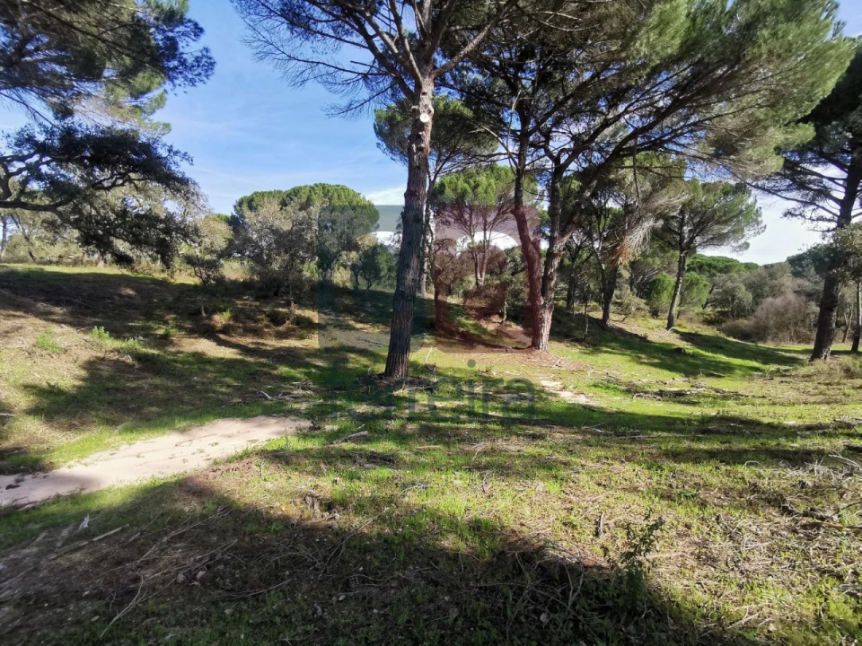 Terreno para Venda em Couço Foto 23