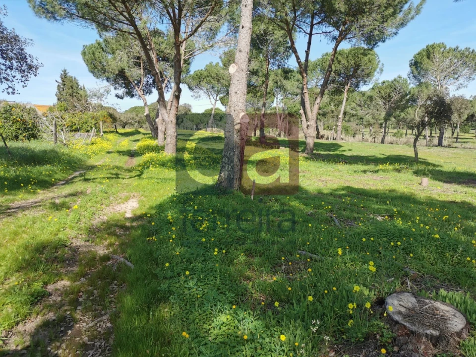 Terreno para Venda em Couço Foto 25