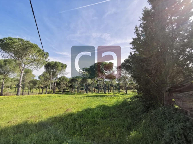 Terreno para Venda em Couço Foto 4