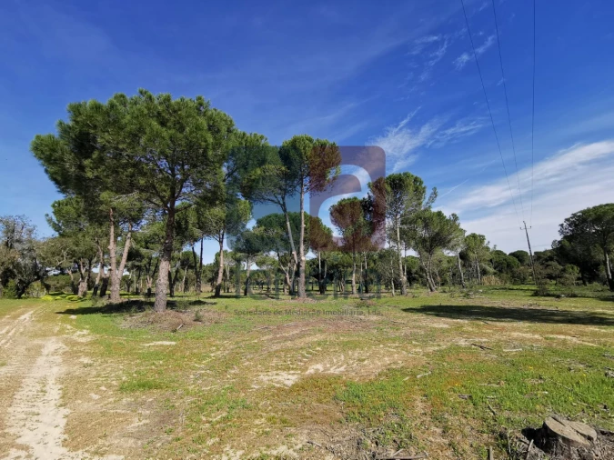 Terreno para Venda em Couço Foto 19