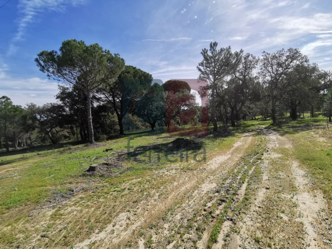 Terreno para Venda em Couço Foto 20