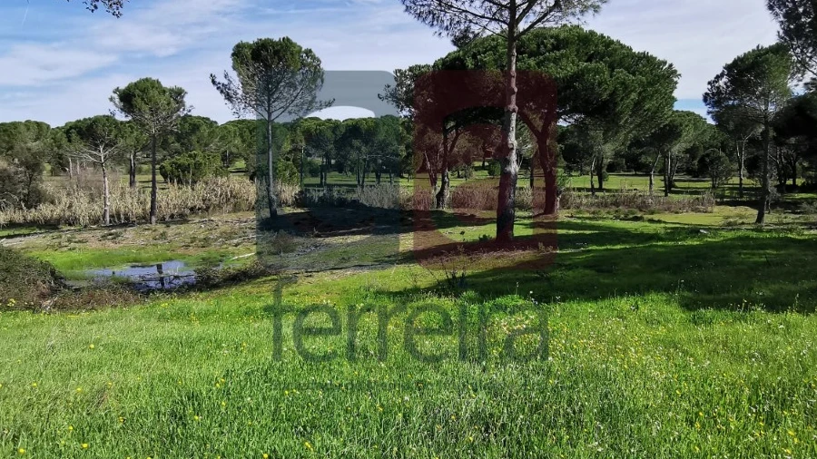 Terreno para Venda em Couço