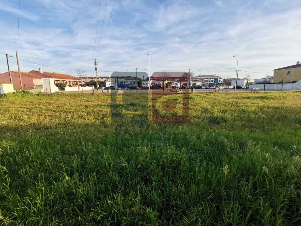 Terreno para Venda em Fazendas de Almeirim Foto 9