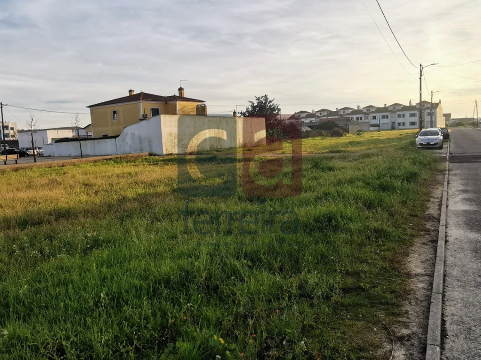 Terreno para Venda em Fazendas de Almeirim Foto 10