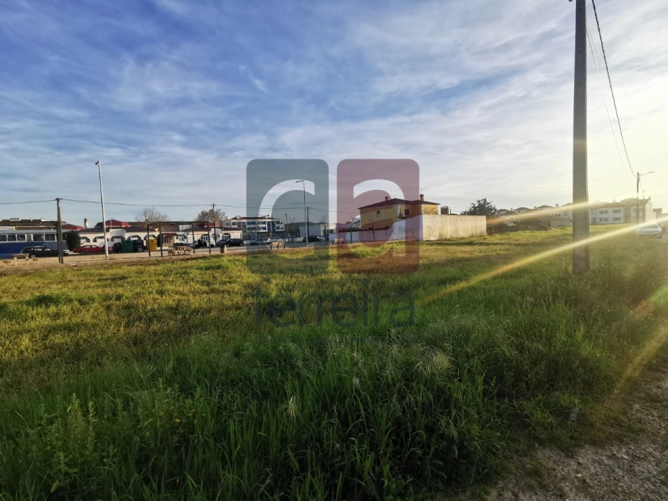 Terreno para Venda em Fazendas de Almeirim Foto 12