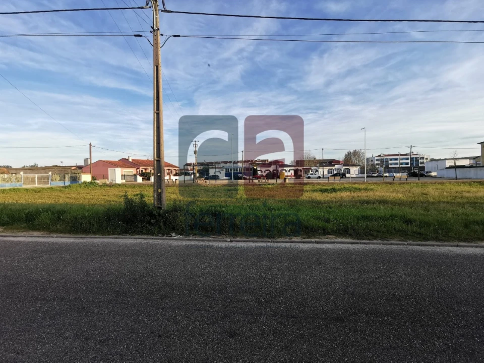 Terreno para Venda em Fazendas de Almeirim Foto 3