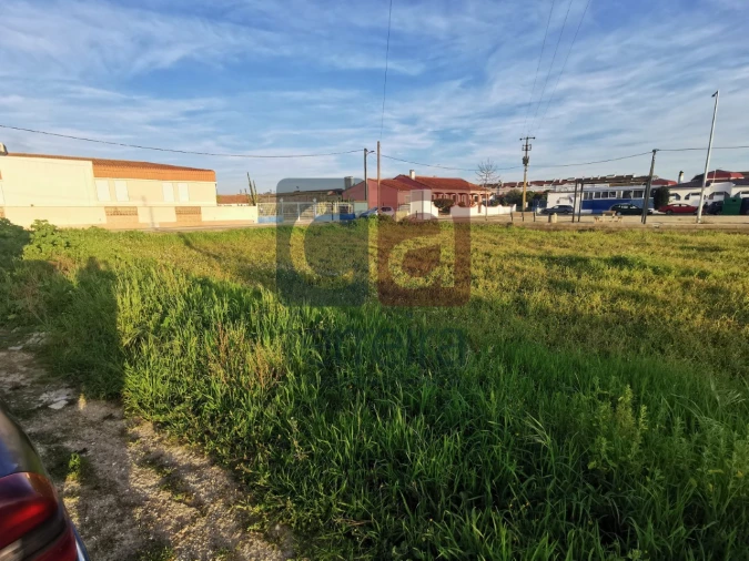 Terreno para Venda em Fazendas de Almeirim Foto 5
