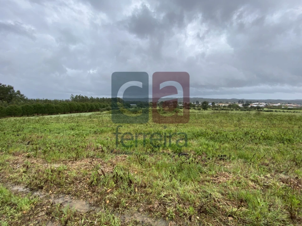 Terreno para Venda em Fazendas de Almeirim Foto 36
