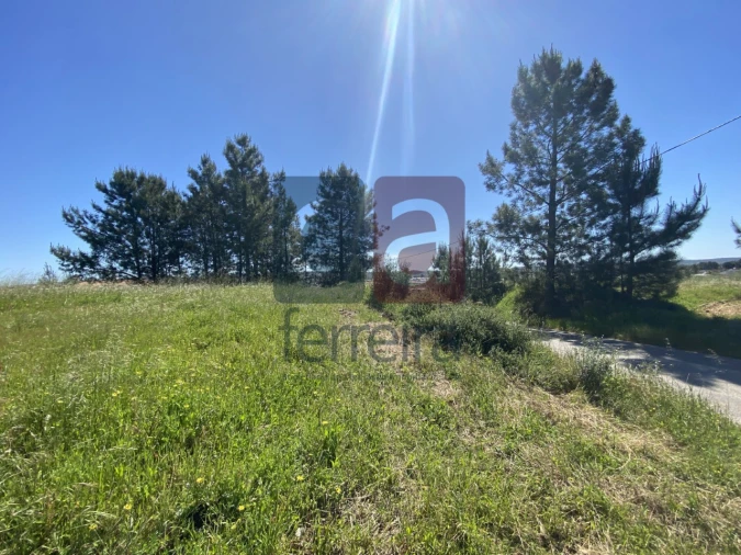 Terreno para Venda em Fazendas de Almeirim Foto 34