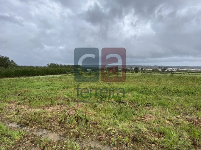 Terreno para Venda em Fazendas de Almeirim Foto 36