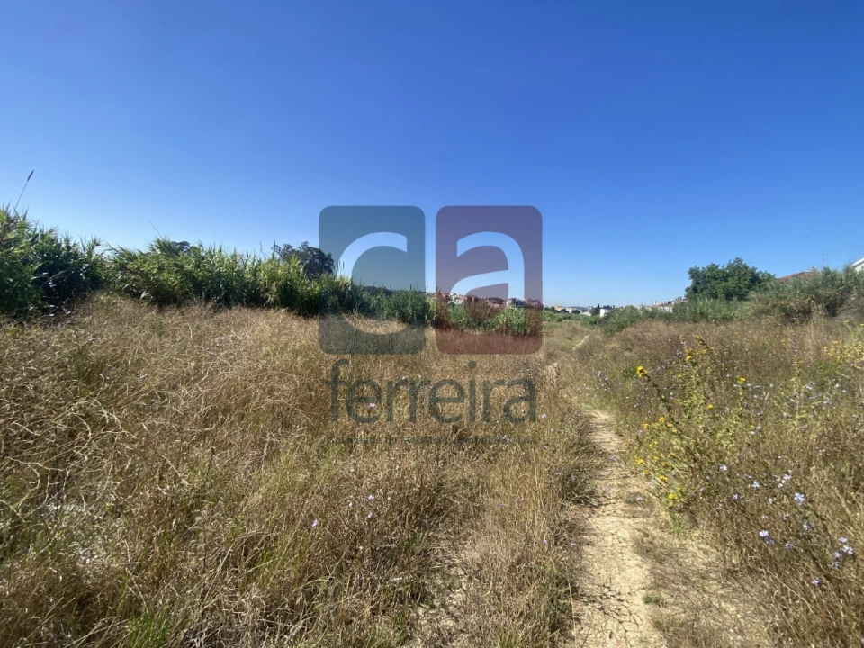 Terreno para Venda em Marvila, Ribeira Santarém, São Salvador, São Nicolau Foto 14