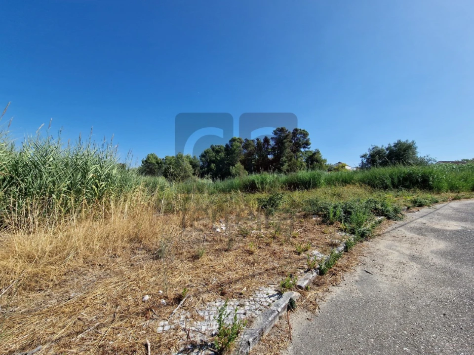 Terreno para Venda em Marvila, Ribeira Santarém, São Salvador, São Nicolau Foto 13