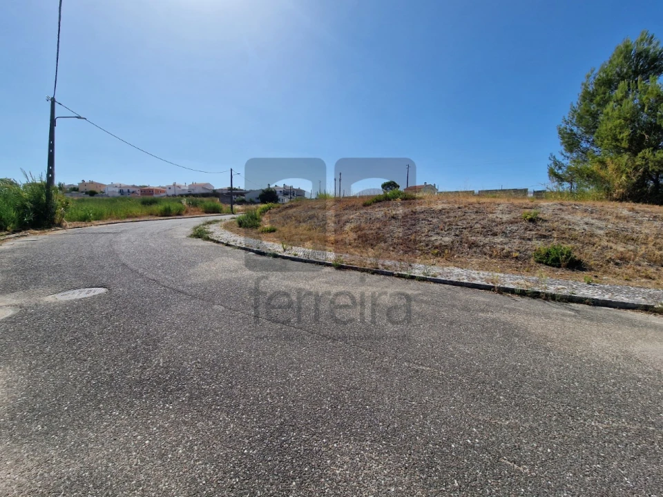 Terreno para Venda em Marvila, Ribeira Santarém, São Salvador, São Nicolau Foto 14