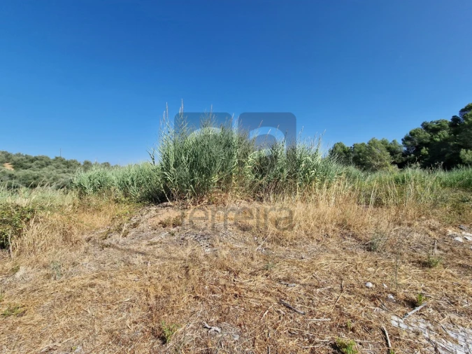 Terreno para Venda em Marvila, Ribeira Santarém, São Salvador, São Nicolau Foto 12