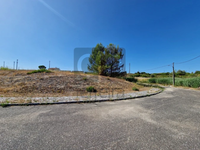 Terreno para Venda em Marvila, Ribeira Santarém, São Salvador, São Nicolau Foto 15