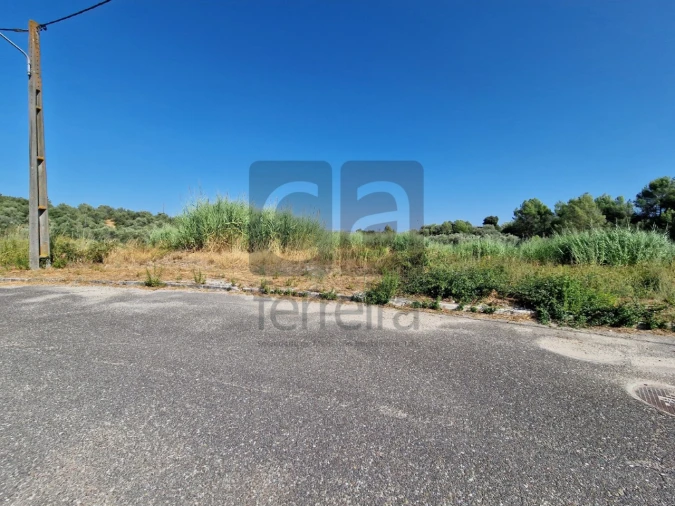 Terreno para Venda em Marvila, Ribeira Santarém, São Salvador, São Nicolau Foto 17