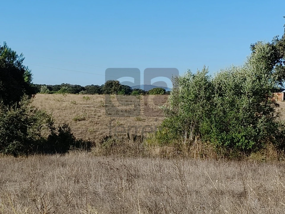 Terreno para Venda em Almoster Foto 4