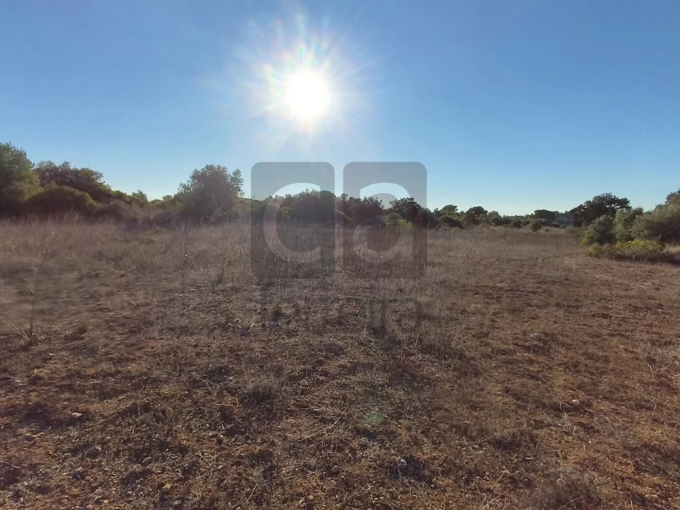 Terreno para Venda em Almoster Foto 11