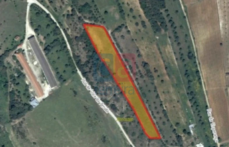 Terreno para Venda em Almoster Foto 1