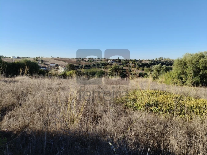 Terreno para Venda em Almoster Foto 15